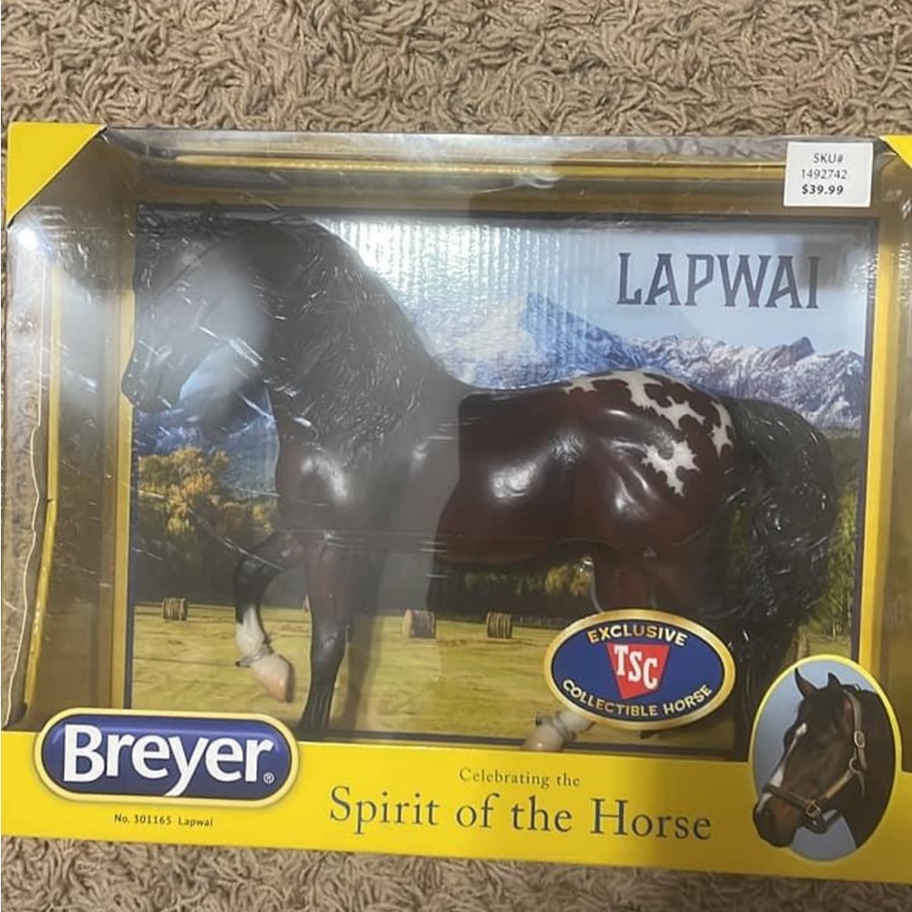NIB LAPWAI
